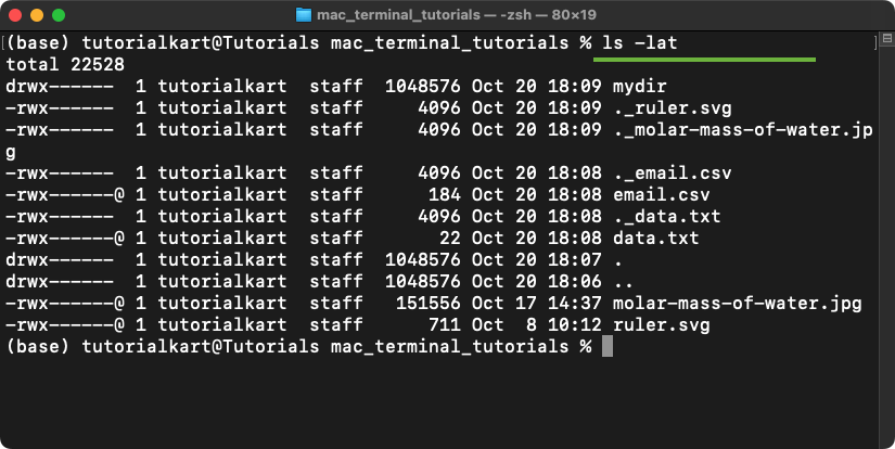 List Files and Directories in Mac Terminal - Combining Options for a Custom View